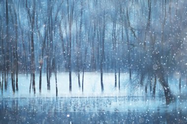 Orman kar bulanık arka plan/kış manzara kar kaplı orman, ağaçlar ve dalları kış havalarda