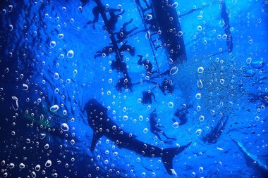 arka plan sualtı hava kabarcıklar resif/soyut deniz arka plan, Dalış, Doğa, okyanus