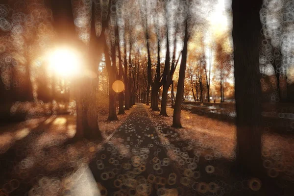 抽象秋天公园的抽象模糊的背景或美丽的风景与亮点和 Bokeh 在一个阳光明媚的天在一个黄色秋天城市公园 — 图库照片