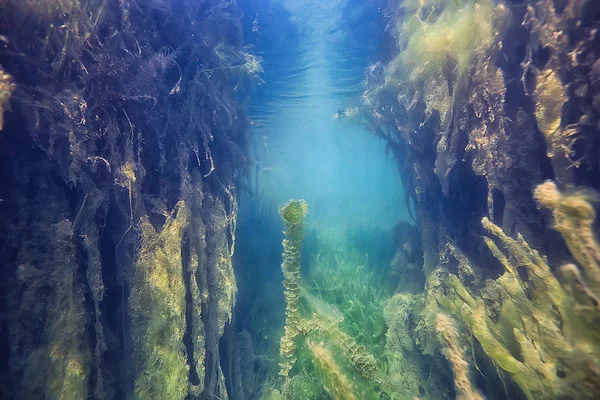 Lago Paisaje Submarino Abstracto Azul Transparente Agua Protección Naturaleza Ecológica — Foto de Stock