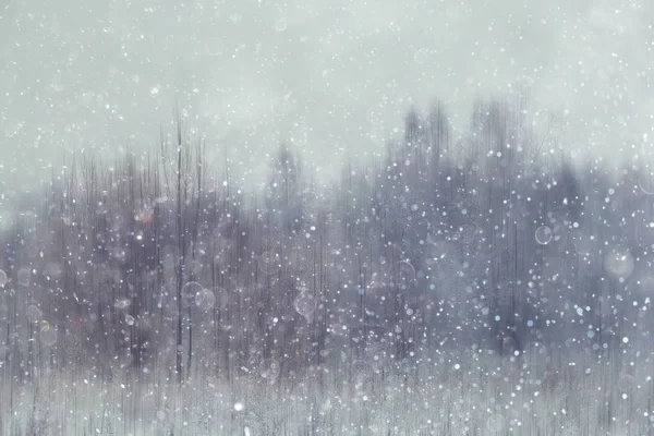 Bos Sneeuw Wazig Achtergrond Winterlandschap Met Sneeuw Bedekt Bos Bomen — Stockfoto
