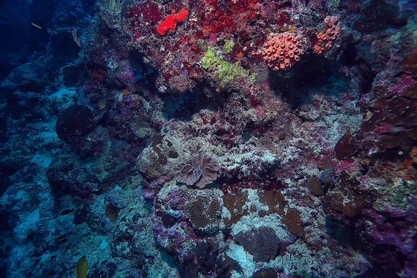 海洋生态系统水下景观 蓝色海洋野生自然在海洋中 抽象的背景 — 图库照片