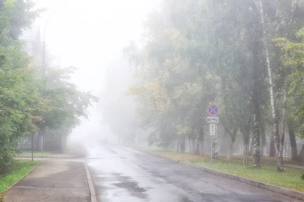 Осінній Ландшафтний Ранок Тумані Алеї Міському Парку Туманний Пейзаж Місті — стокове фото