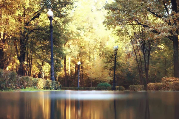 Stig Höst Park Höst Landskap Gul Park Höst Träd Och — Stockfoto