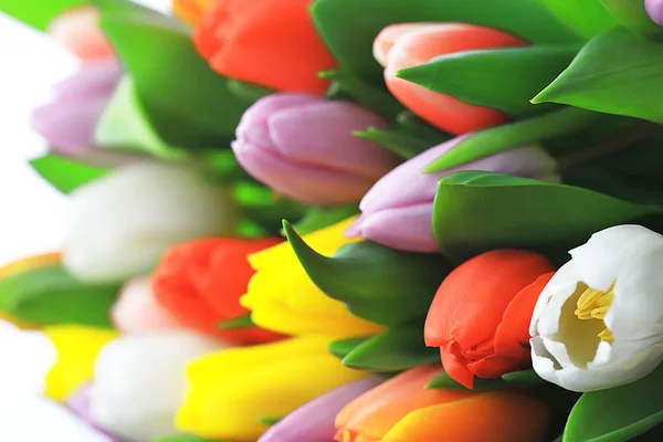 Strauß Bunter Tulpen Frühlingsblumen Leuchtend Schöne Blumen Frühlingsgeschenk Konzept — Stockfoto