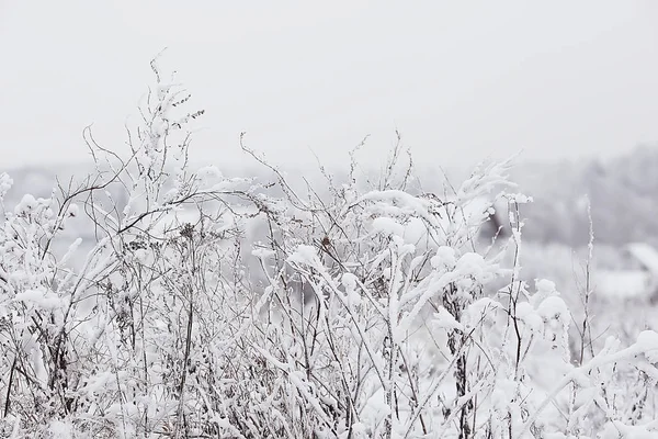 Winter Het Russische Dorp Winterlandschap Bos Rusland Met Sneeuw Bedekte — Stockfoto