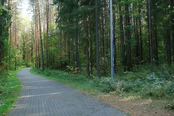 Ścieżka Jesienny Park Jesienny Krajobraz Żółty Park Jesienią Drzew Liści — Zdjęcie stockowe