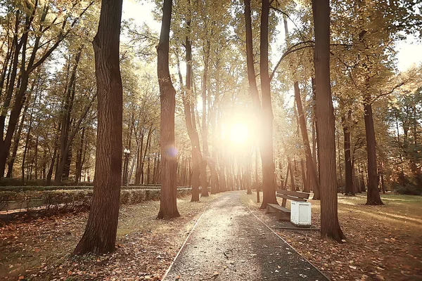 Ścieżka Jesienny Park Jesienny Krajobraz Żółty Park Jesienią Drzew Liści — Zdjęcie stockowe