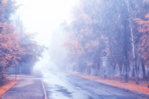 Otoño Paisaje Mañana Niebla Callejón Parque Ciudad Paisaje Brumoso Ciudad —  Fotos de Stock