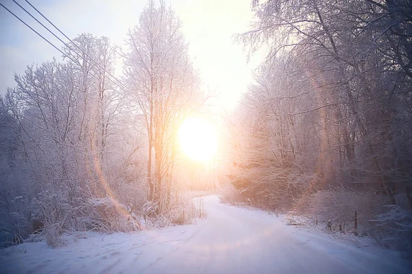 Coucher Soleil Dans Forêt Hiver Coucher Soleil Février Dans Parc — Photo