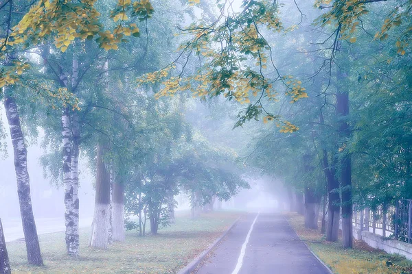 Jesienny Krajobraz Rano Mgle Aleja Parku Miejskim Mglisty Krajobraz Mieście — Zdjęcie stockowe