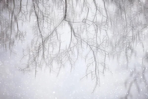 Foresta Neve Sfocata Sfondo Paesaggio Invernale Foresta Innevata Alberi Rami — Foto Stock