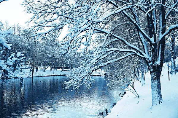 Astratto Sfondo Paesaggio Inverno Foresta Gelo Coperto Rami Albero Nevoso — Foto Stock