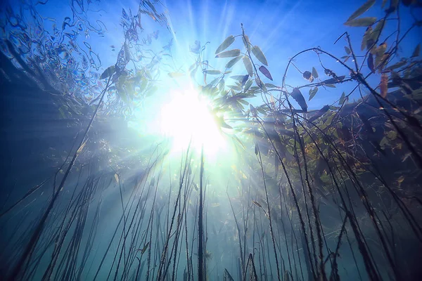 Lake Underwater Landscape Abstract Blue Transparent Water Eco Nature Protection — Stock Photo, Image