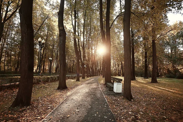 Μονοπάτι Φθινοπωρινό Πάρκο Φθινοπωρινό Τοπίο Κίτρινο Πάρκο Στα Φθινοπωρινά Δέντρα — Φωτογραφία Αρχείου