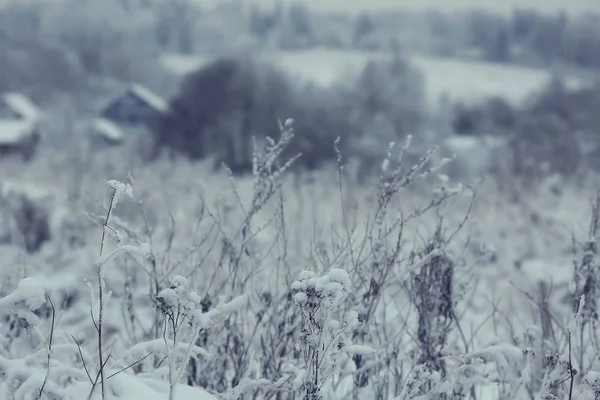 Vinter Landskap Skogen Snöigt Väder Januari Vackra Landskap Den Snöiga — Stockfoto