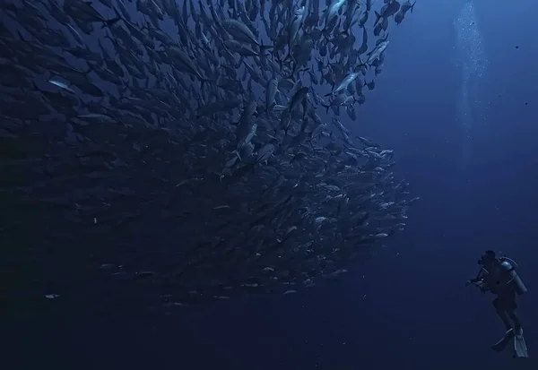 Погружение Воду Море Отдых Океане Дикая Природа Водой — стоковое фото