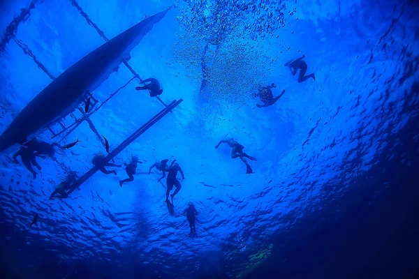 Tauchen Wasser Meer Szene Ruhe Ozean Tiere Unter Wasser — Stockfoto