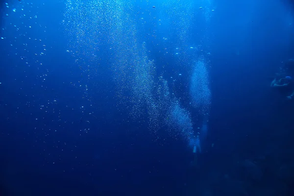コーラルリーフ水中 海コーラルラグーン オーシャンエコシステム — ストック写真