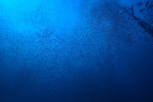 Debaixo Água Oceano Paisagem Subaquática Mundo Cena Azul Idyll Natureza — Fotografia de Stock