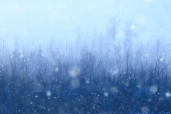 Boże Narodzenie Drzewo Las Mroźny Pejzaż Streszczenie Tło Zimą Śnieżne — Zdjęcie stockowe