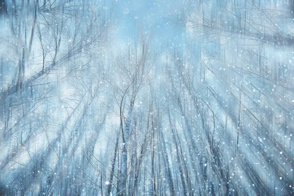 Skog Snö Suddig Bakgrund Vinter Landskap Snötäckta Skog Träd Och — Stockfoto