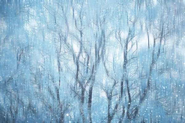 Lesní Sníh Rozostřený Pozadí Zimní Krajina Zasněžený Les Stromy Větve — Stock fotografie