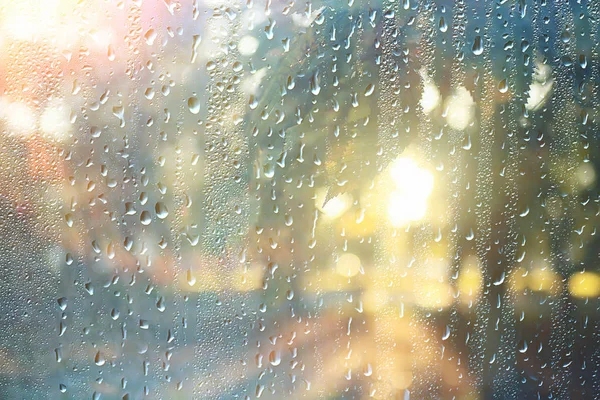 공원에서 창문을 공원에서 풍경의 유리에 빗방울 — 스톡 사진