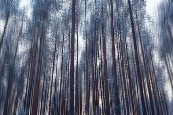 Krajobraz Las Linie Pionowy Rozmyte Streszczenie Tło Zima Zimą — Zdjęcie stockowe