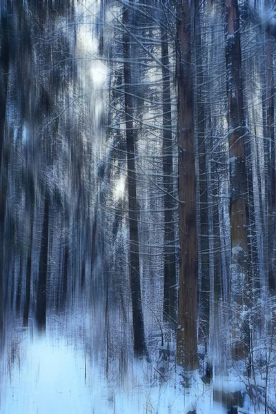 Abstrakt Skog Suddig Vinter Vertikala Linjer Vinter Skog Bakgrund Abstrakt — Stockfoto