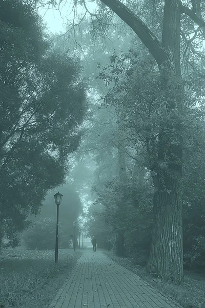 Otoño Paisaje Mañana Niebla Callejón Parque Ciudad Paisaje Brumoso Ciudad —  Fotos de Stock