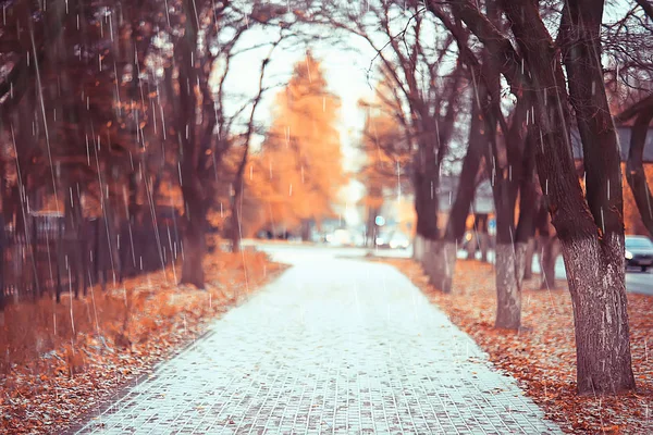 Autumn Landscape Rainy Day City Park Yellow Trees Rain — Stock Photo, Image