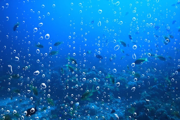 Background Underwater Air Bubbles Reef Abstract Sea Background Diving Nature — Stock Photo, Image