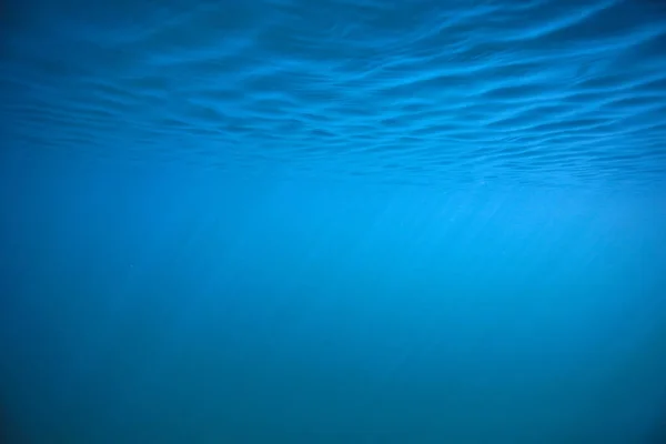 Lago Fondo Agua Submarino Abstracto Agua Dulce Buceo Fondo Naturaleza — Foto de Stock