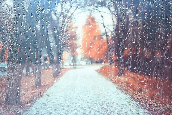 背景湿玻璃下落秋天在公园 风景风景在秋天公园从一个湿窗口 雨天的概念在秋天天 — 图库照片