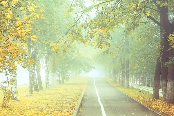 Осеннее Пейзажное Утро Тумане Аллее Городском Парке Туманный Пейзаж Городе — стоковое фото