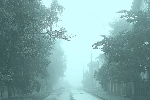 秋天的风景早晨在雾 胡同在城市公园 雾风景在城市 树在城市 — 图库照片