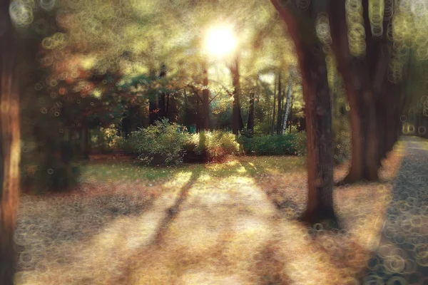 Abstrakter Verschwommener Hintergrund Eines Herbstparks Wunderschöne Landschaft Mit Highlights Und — Stockfoto