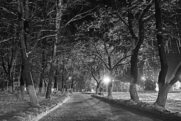 夜城市冬天或风景在1月城市灯装饰为假日 树在城市公园 冬天风景 — 图库照片