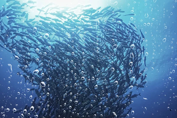 Bakgrund Undervattens Luft Bubblor Rev Abstrakt Havet Bakgrund Dykning Natur — Stockfoto