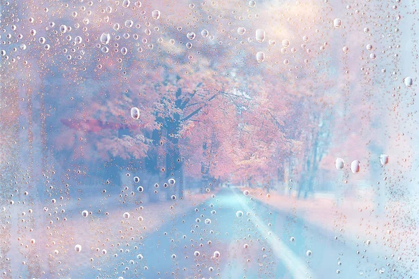 Background Wet Glass Drops Autumn Park View Landscape Autumn Park — Stock Photo, Image