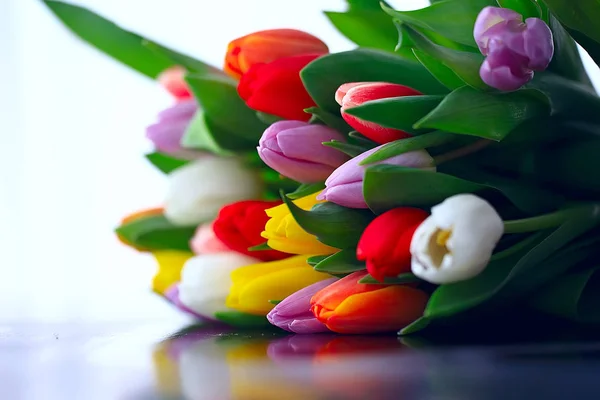 Strauß Bunter Tulpen Frühlingsblumen Leuchtend Schöne Blumen Frühlingsgeschenk Konzept — Stockfoto