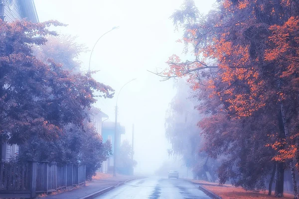 Herfst Landschap Ochtend Mist Steegje Het Stadspark Mistig Landschap Stad — Stockfoto