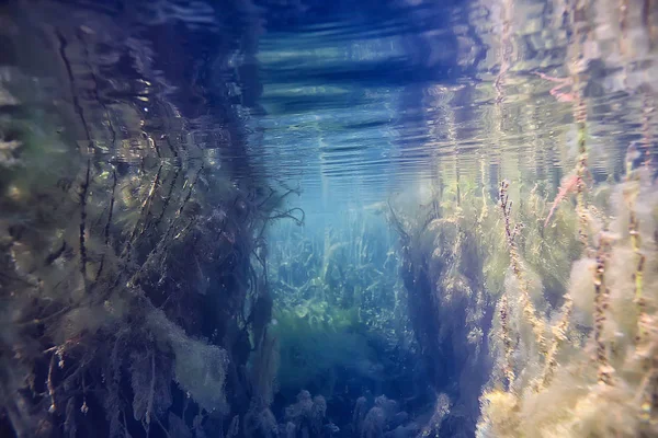 Lago Paisaje Submarino Abstracto Azul Transparente Agua Protección Naturaleza Ecológica — Foto de Stock