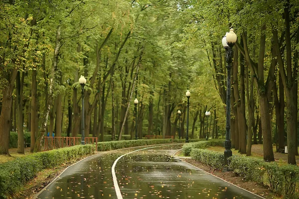 Ösvény Őszi Park Őszi Táj Sárga Park Őszi Fák Levelek — Stock Fotó