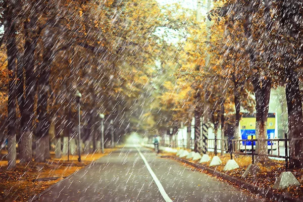 Осенний Дождь Парке Осенний Пейзаж Погода Дождем Осенние Листья Городском — стоковое фото