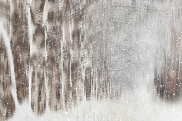 Lesní Sníh Rozostřený Pozadí Zimní Krajina Zasněžený Les Stromy Větve — Stock fotografie