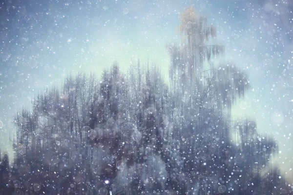 Foresta Neve Sfocata Sfondo Paesaggio Invernale Foresta Innevata Alberi Rami — Foto Stock