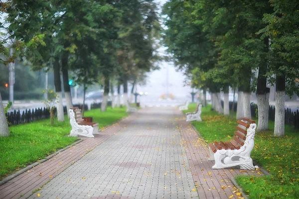 Summer Park City Fog Beautiful City Landscape — Stock Photo, Image