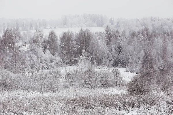 Paysage Hivernal Dans Forêt Temps Neigeux Janvier Beau Paysage Dans — Photo